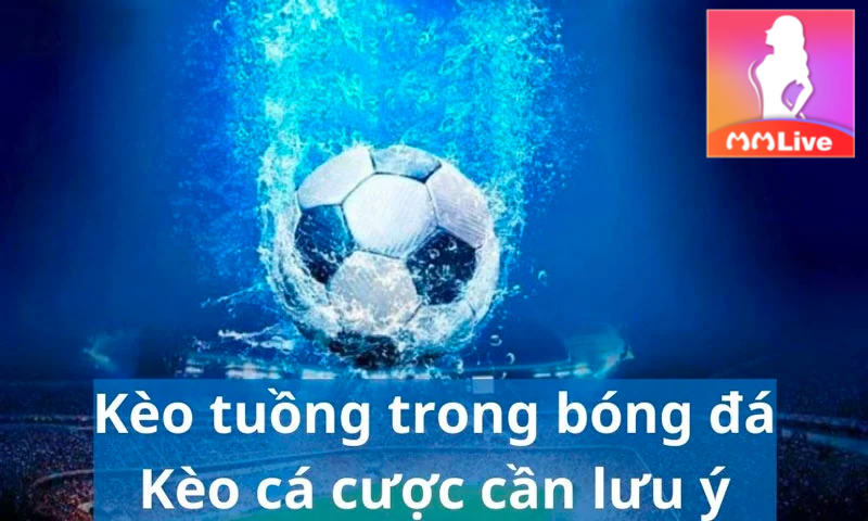 mẹo để tránh kèo tuồng