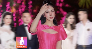 diep lam anh 1 739x400 1