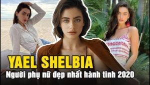 maxresdefault 2 1 711x400 1