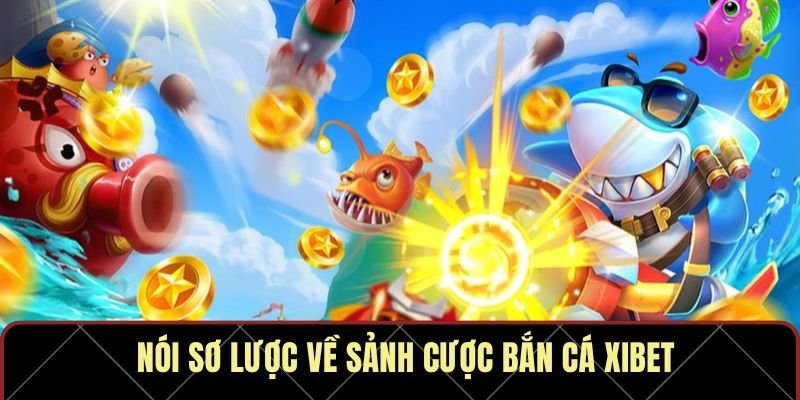 Nói sơ lược về sảnh cược bắn cá Xibet